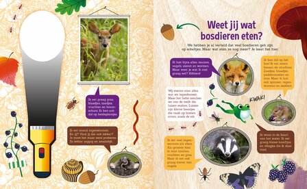 Zoekplaat in het boek &#039;Speuren in het Bos&#039; met verborgen dieren.