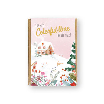 Kleurrijke zaadbommetjes cadeau in giftbox met de tekst: The most colorful time of the year