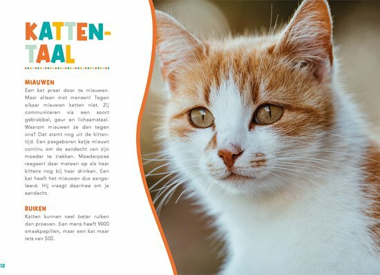 Handboek voor kattenbaasjes