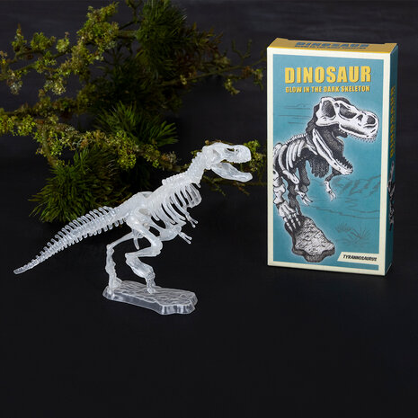 Bouw je eigen Tyrannosaurus dino skelet met deze glow in the dark set.